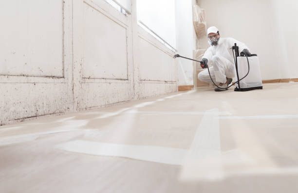 24/7 Emergency Bathroom Mold Removal experts in Buckingham, PA