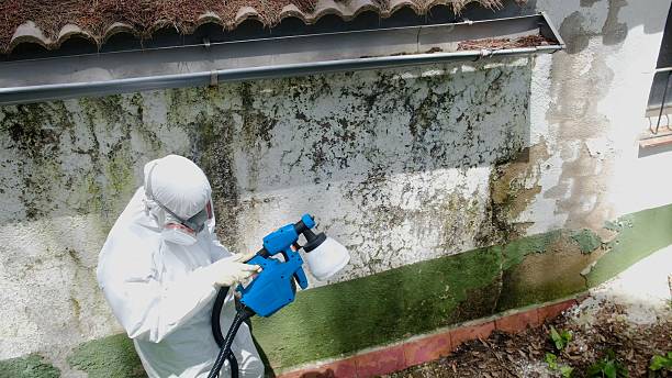 Top rated local Bathroom Mold Removal specialists in Buckingham, PA